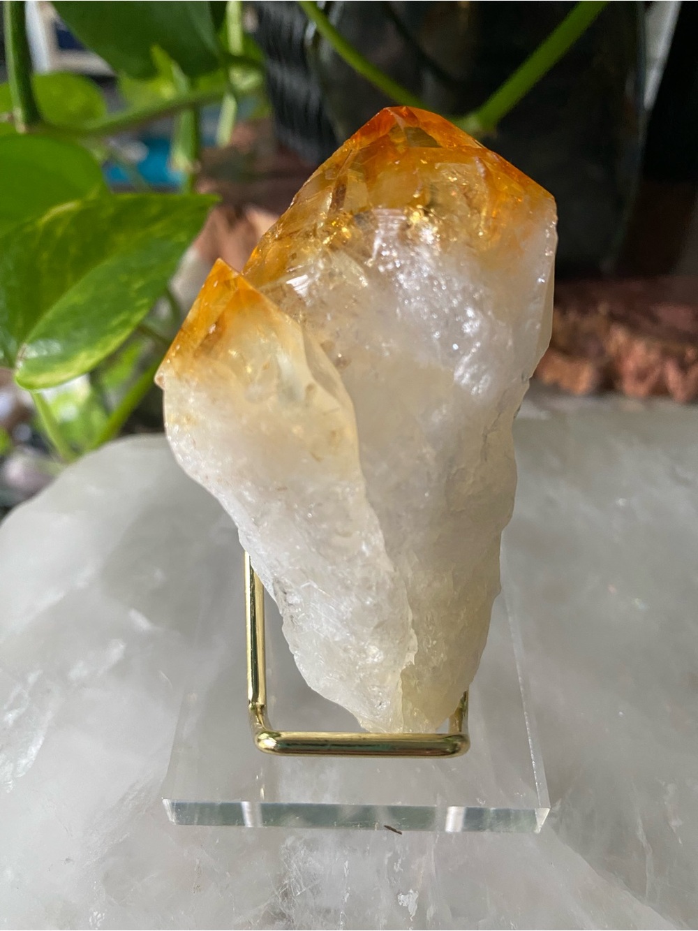 🦷✨ CITRINE CRYSTAL TOOTH — WITH A SECRET RAINBOW! 🌈💛